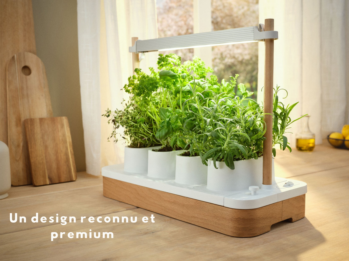 Sicelia™ Fresh Bundle
