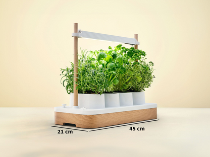 Sicelia™ Fresh Bundle